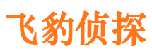 阳山侦探公司